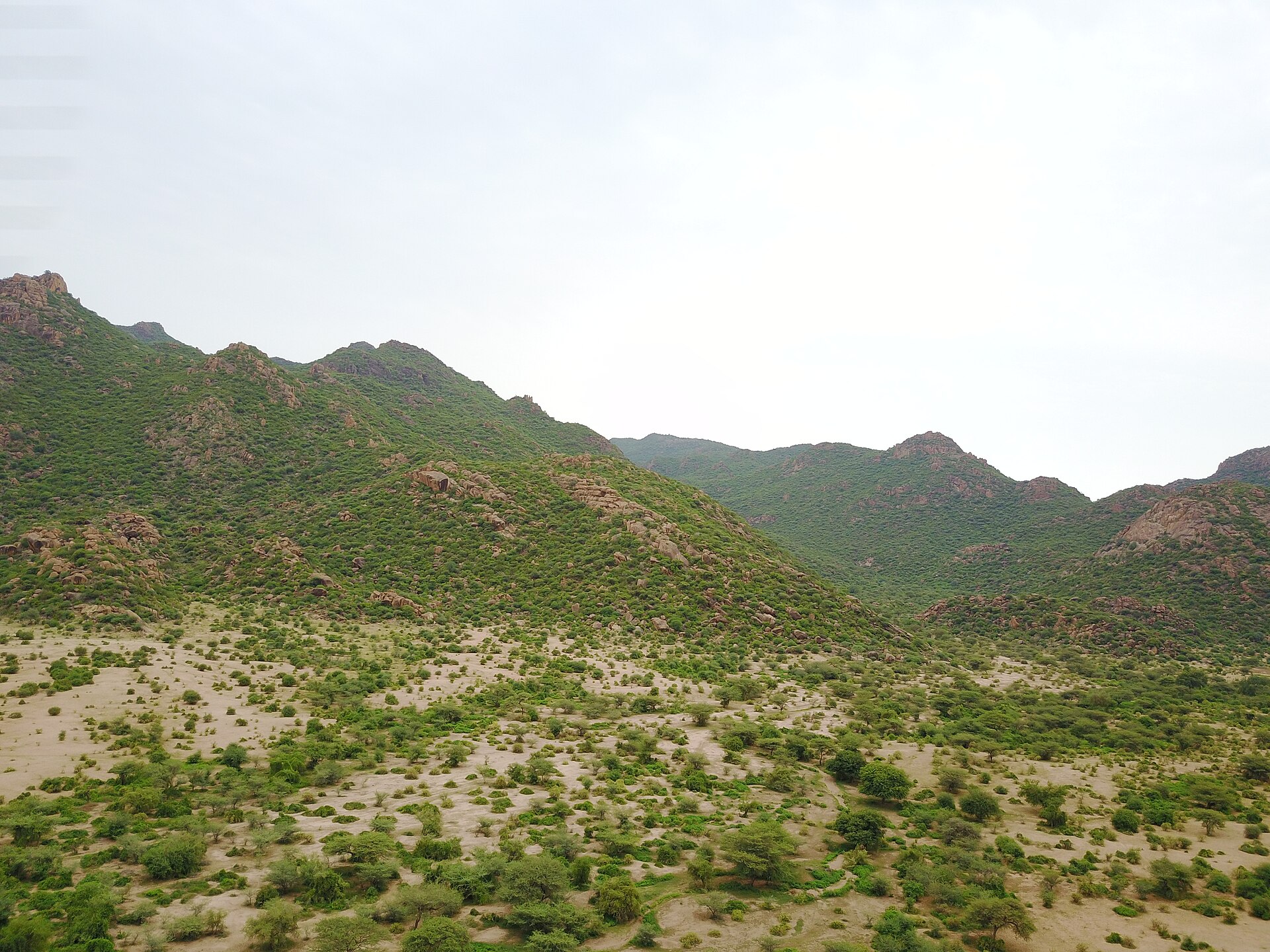Jebel Al Dair National Park